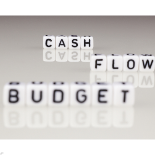 Cash Flow and Budgeting Assistance